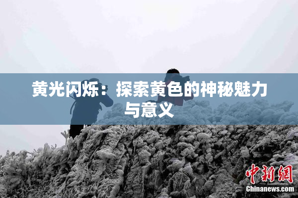 黄光闪烁：探索黄色的神秘魅力与意义