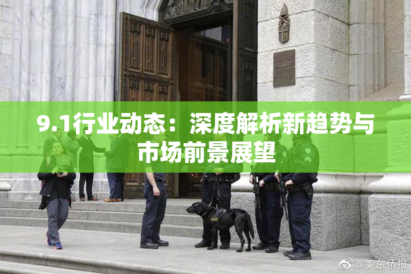 9.1行业动态：深度解析新趋势与市场前景展望