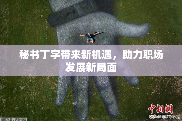秘书丁字带来新机遇，助力职场发展新局面