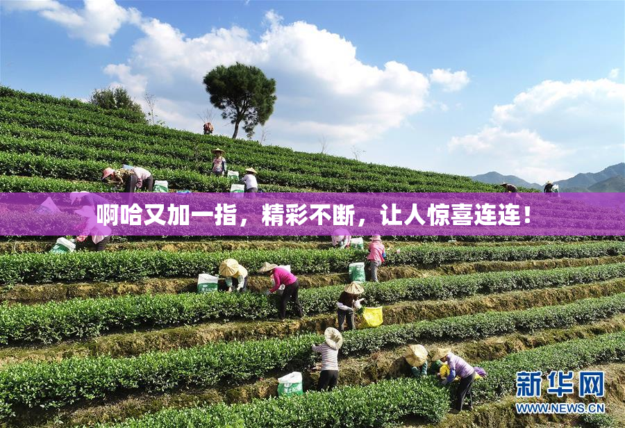 啊哈又加一指，精彩不断，让人惊喜连连！