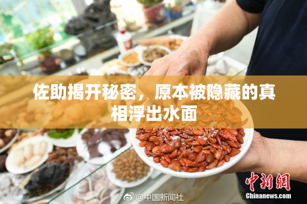 佐助揭开秘密，原本被隐藏的真相浮出水面