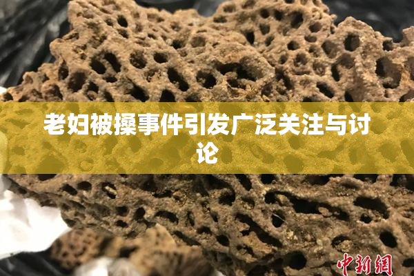 老妇被搡事件引发广泛关注与讨论