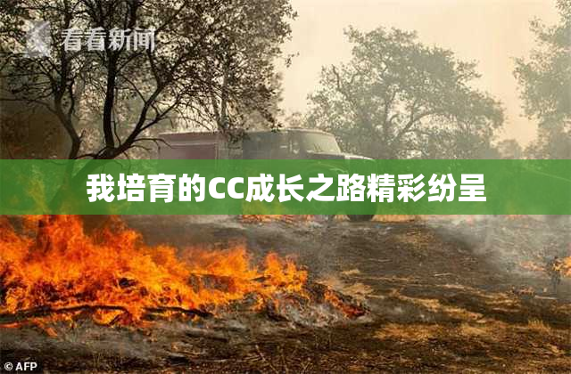 我培育的CC成长之路精彩纷呈