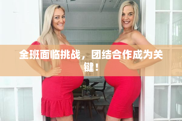 全班面临挑战，团结合作成为关键！