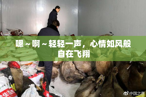 嗯～啊～轻轻一声，心情如风般自在飞翔