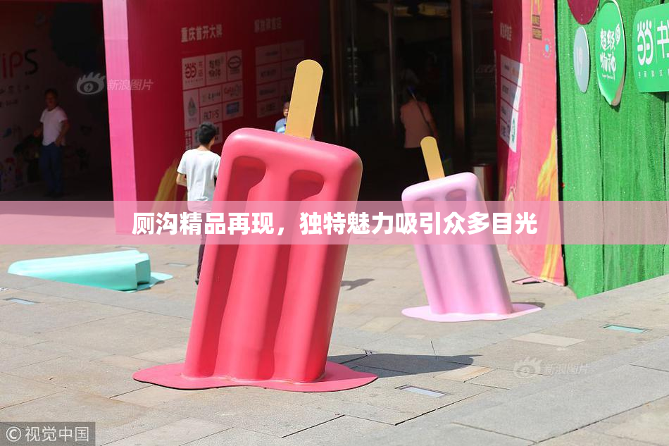 厕沟精品再现，独特魅力吸引众多目光