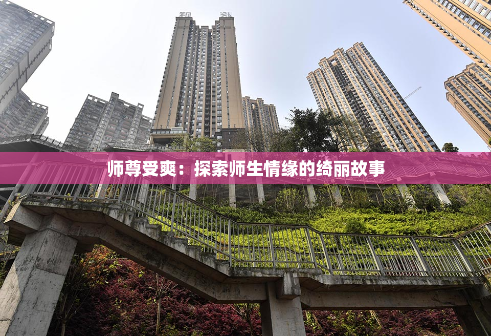 师尊受爽：探索师生情缘的绮丽故事