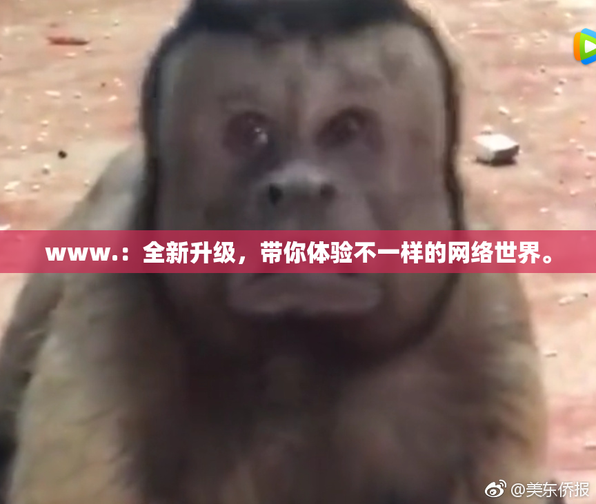 www.：全新升级，带你体验不一样的网络世界。