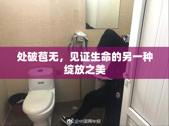 处破苞无，见证生命的另一种绽放之美