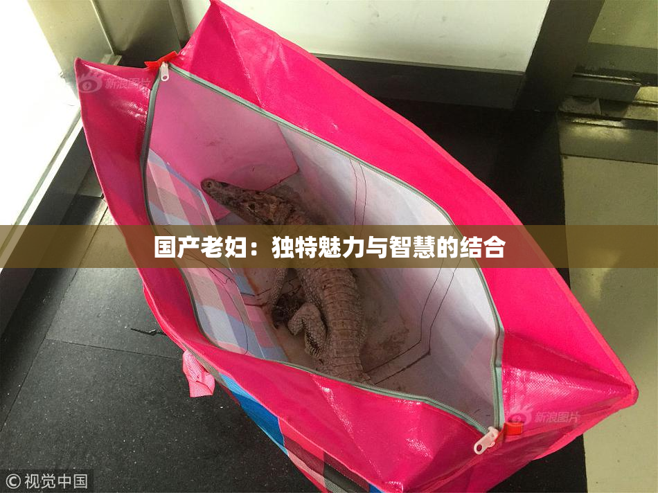 国产老妇：独特魅力与智慧的结合