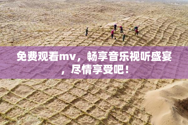 免费观看mv，畅享音乐视听盛宴，尽情享受吧！
