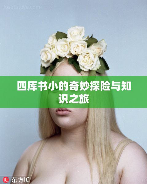 四库书小的奇妙探险与知识之旅