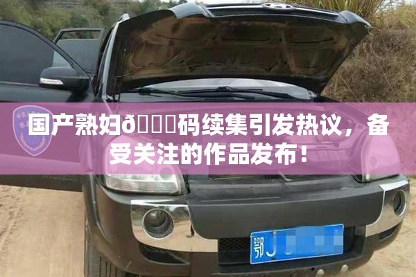 国产熟妇🈚码续集引发热议，备受关注的作品发布！