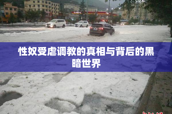 性奴受虐调教的真相与背后的黑暗世界