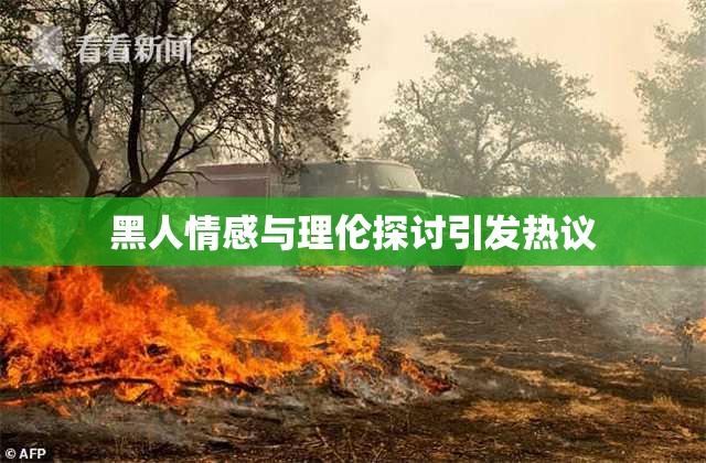 黑人情感与理伦探讨引发热议