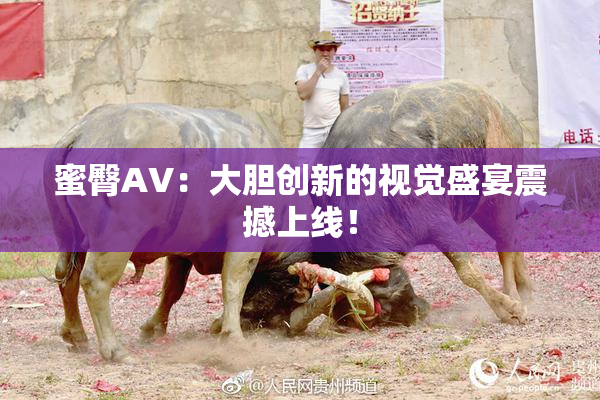 蜜臀AV：大胆创新的视觉盛宴震撼上线！