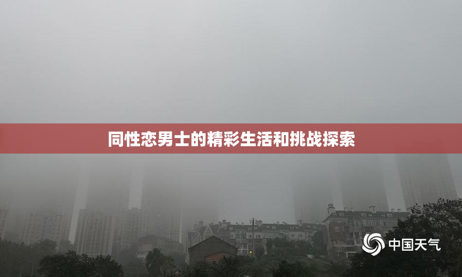 同性恋男士的精彩生活和挑战探索