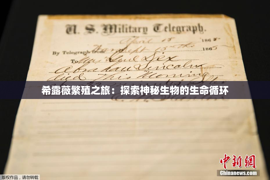 希露薇繁殖之旅：探索神秘生物的生命循环