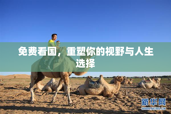 免费看国，重塑你的视野与人生选择