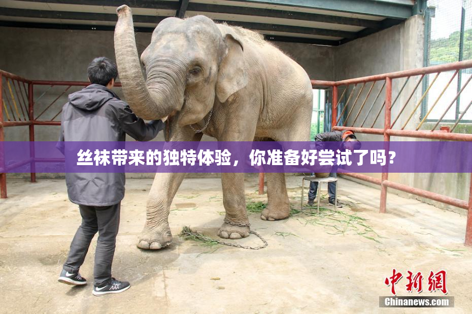 丝袜带来的独特体验，你准备好尝试了吗？
