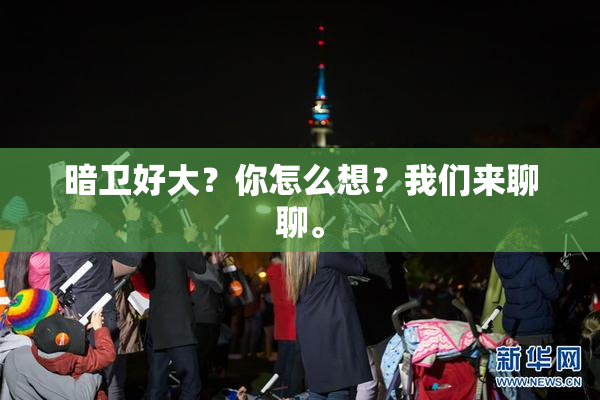 暗卫好大？你怎么想？我们来聊聊。