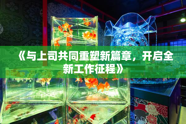《与上司共同重塑新篇章，开启全新工作征程》