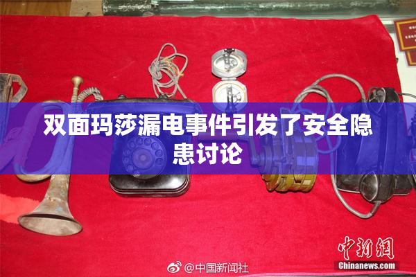 双面玛莎漏电事件引发了安全隐患讨论