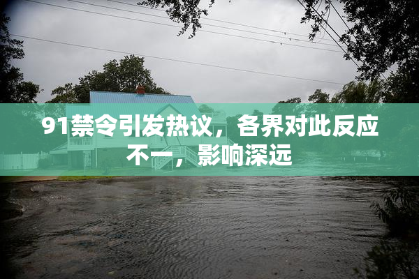 91禁令引发热议，各界对此反应不一，影响深远