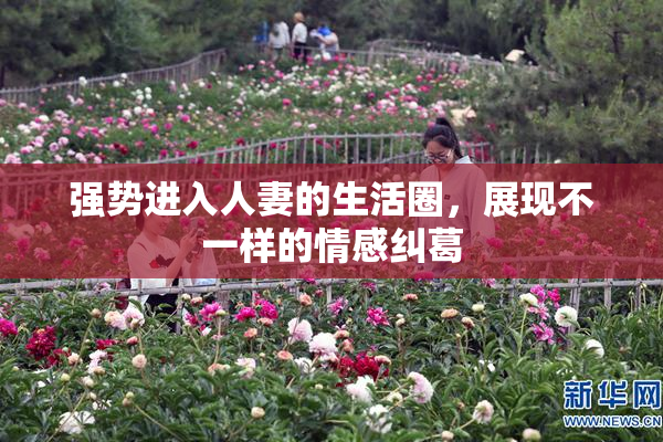 强势进入人妻的生活圈，展现不一样的情感纠葛