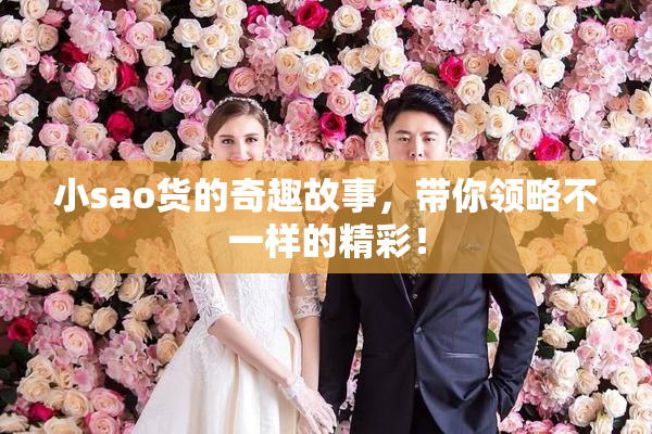 小sao货的奇趣故事，带你领略不一样的精彩！