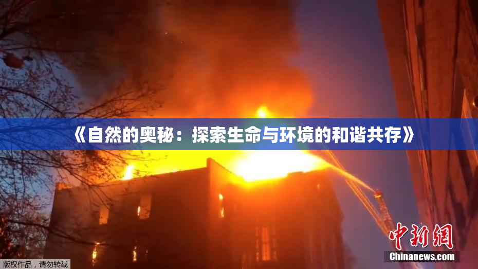 《自然的奥秘：探索生命与环境的和谐共存》