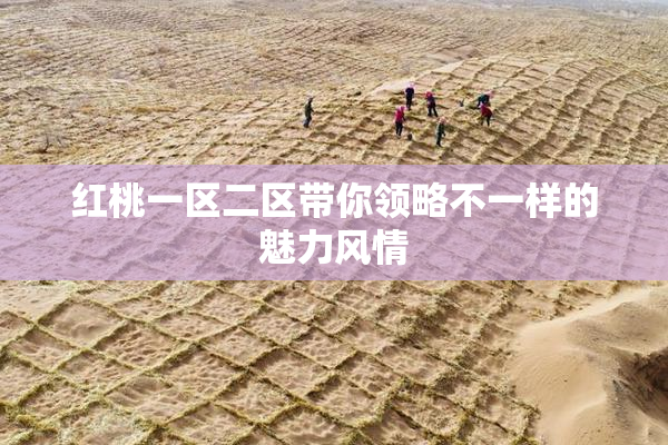 红桃一区二区带你领略不一样的魅力风情