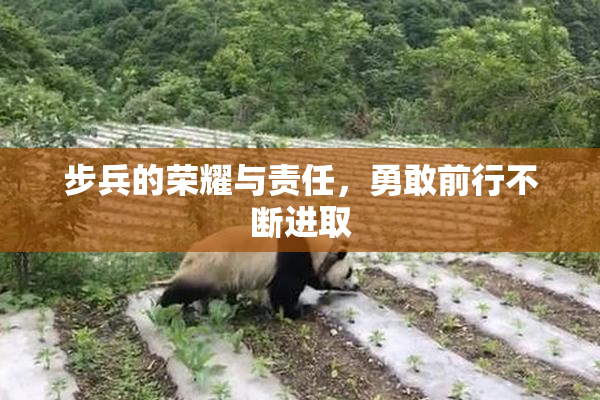 步兵的荣耀与责任，勇敢前行不断进取