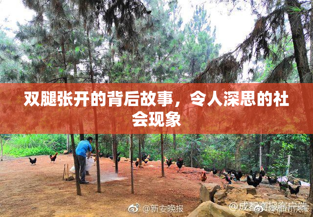 双腿张开的背后故事，令人深思的社会现象