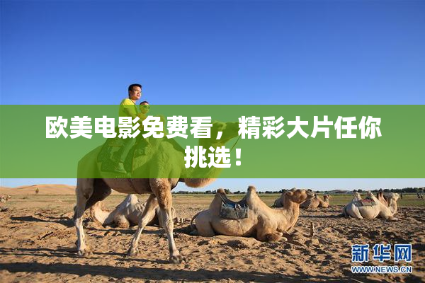 欧美电影免费看，精彩大片任你挑选！
