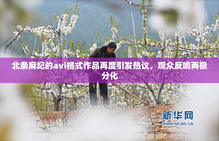 北条麻纪的avi格式作品再度引发热议，观众反响两极分化