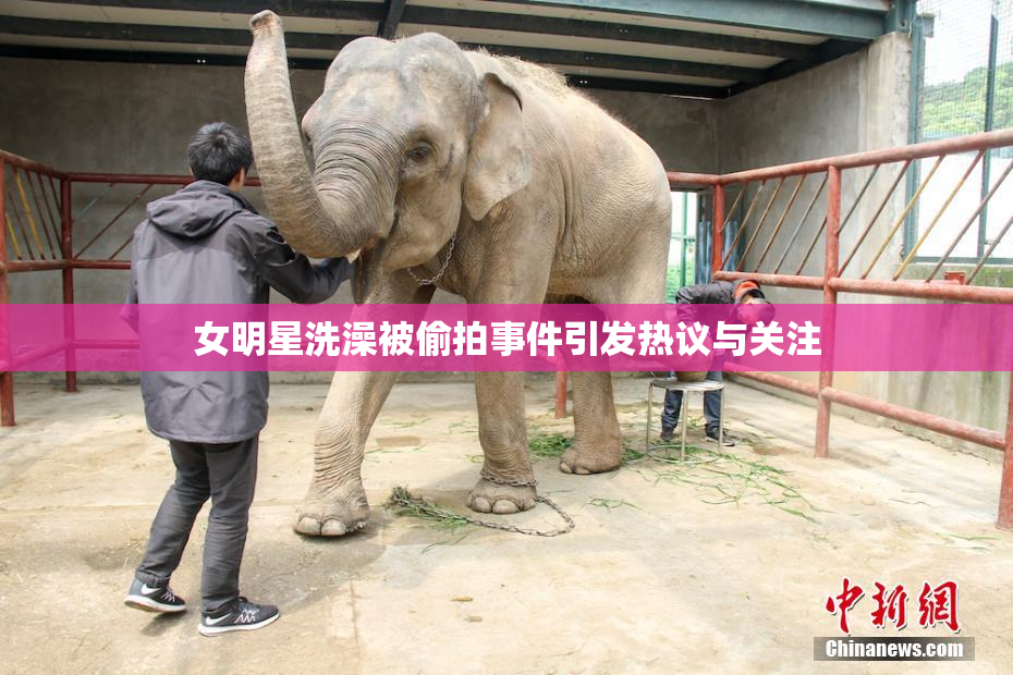 女明星洗澡被偷拍事件引发热议与关注