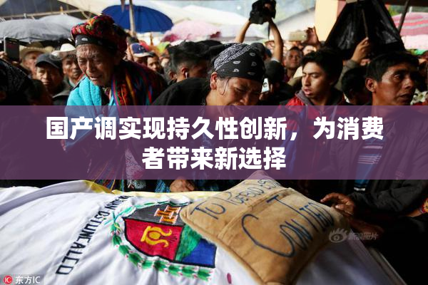 国产调实现持久性创新，为消费者带来新选择