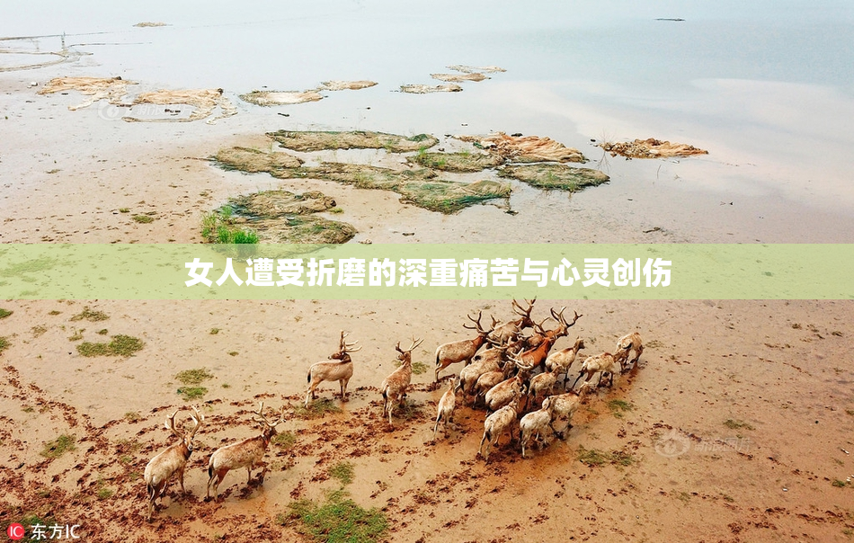 女人遭受折磨的深重痛苦与心灵创伤