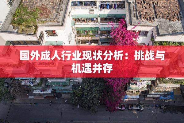 国外成人行业现状分析：挑战与机遇并存
