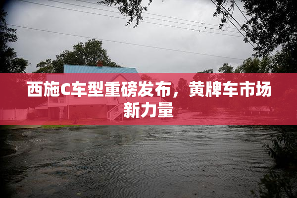 西施C车型重磅发布，黄牌车市场新力量