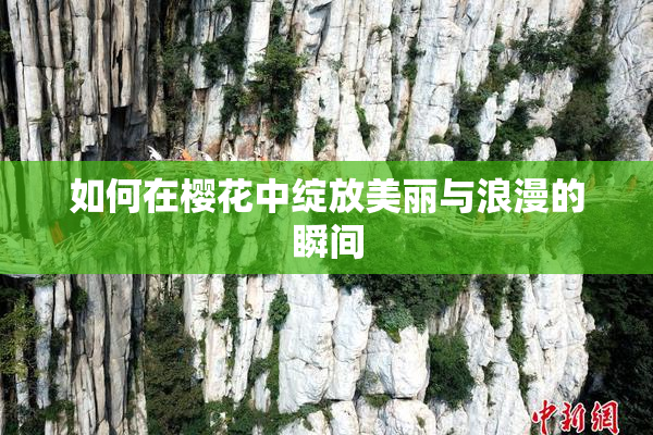 如何在樱花中绽放美丽与浪漫的瞬间