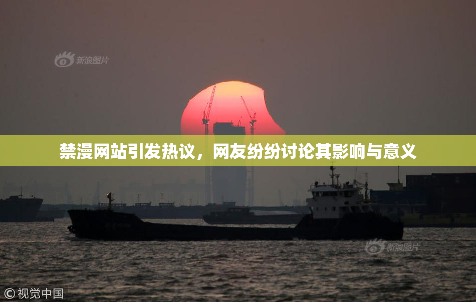 禁漫网站引发热议，网友纷纷讨论其影响与意义
