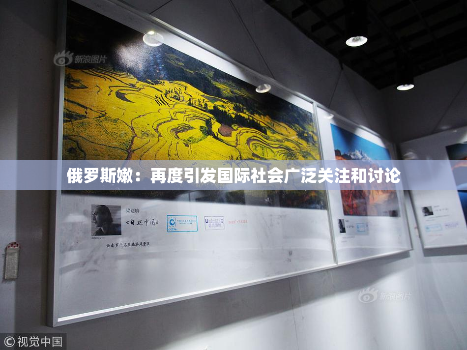 俄罗斯嫩：再度引发国际社会广泛关注和讨论