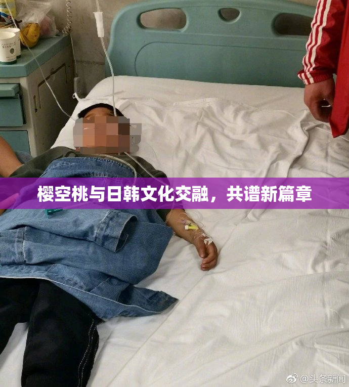樱空桃与日韩文化交融，共谱新篇章