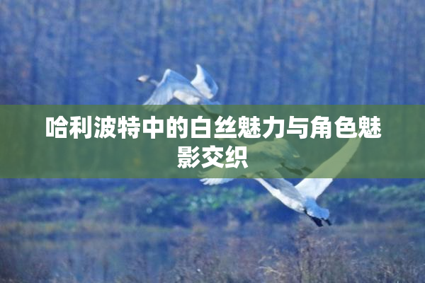哈利波特中的白丝魅力与角色魅影交织