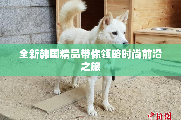 全新韩国精品带你领略时尚前沿之旅