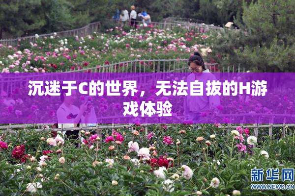 沉迷于C的世界，无法自拔的H游戏体验