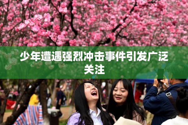 少年遭遇强烈冲击事件引发广泛关注