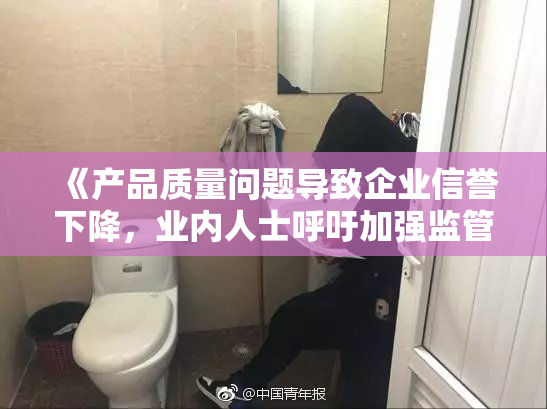 《产品质量问题导致企业信誉下降，业内人士呼吁加强监管》